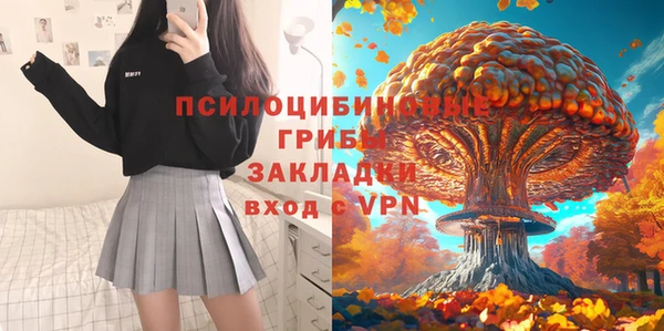 шишки Абинск