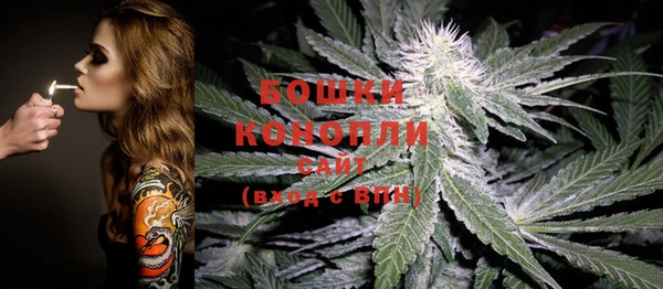 шишки Абинск