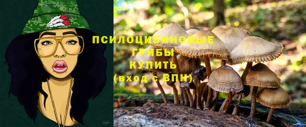 экстази Абаза
