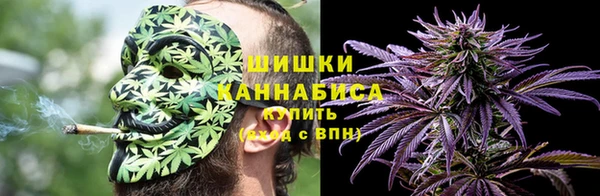 шишки Абинск