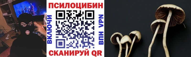 Галлюциногенные грибы MAGIC MUSHROOMS  Орск 